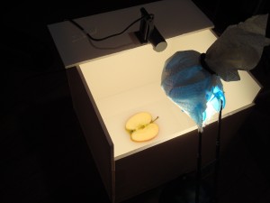 Making images of the apple