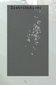 Visualization of the compressed data processed by the SVD.