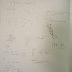 random ideas I drew to branch off of