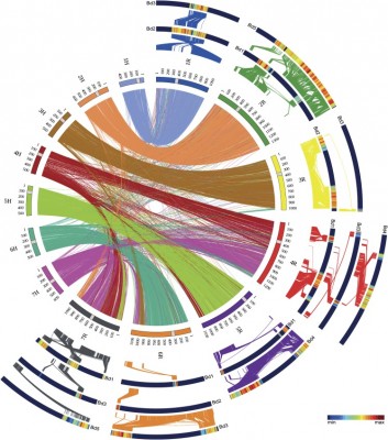 Example from http://www.ncbi.nlm.nih.gov/pmc/articles/PMC3877785/bin/pc_114553_f2.jpg