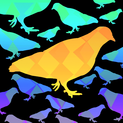 pigeon_gif_swarm_90