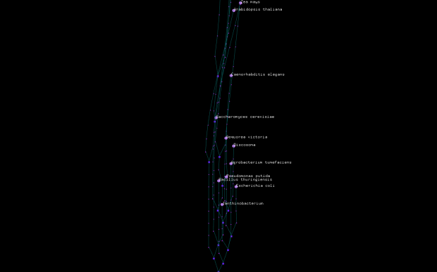 Screen Shot 2014-04-03 at 10.46.31 AM