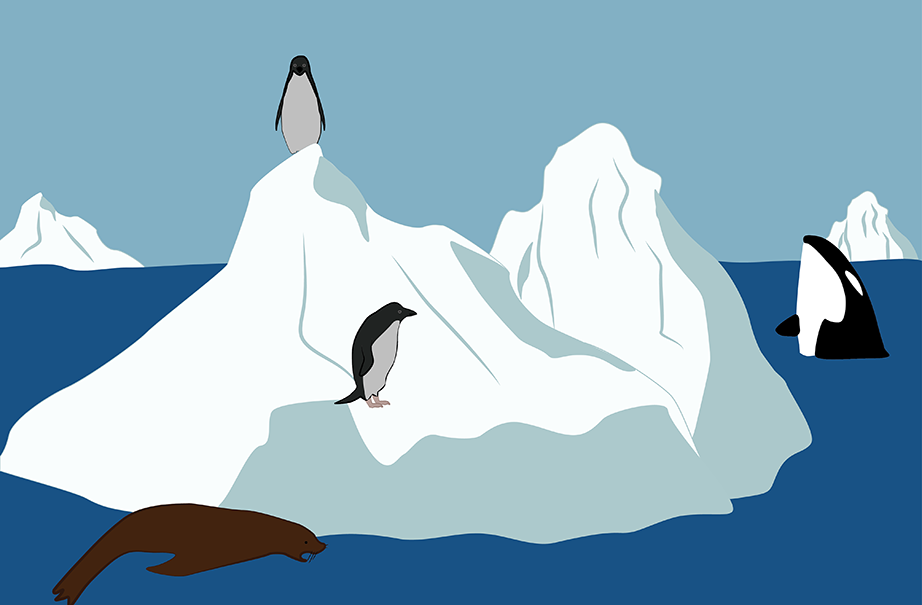 Antarctic Tundra