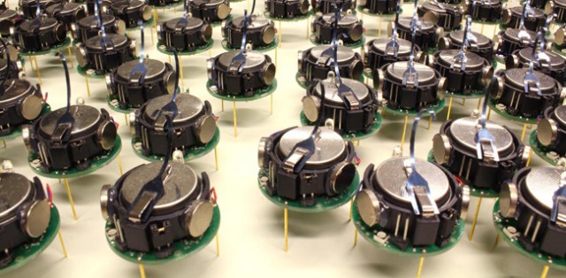 Harvard Robot Swarm Close-Up