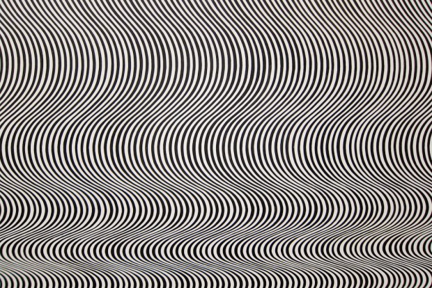 bridget_riley-scaled1000