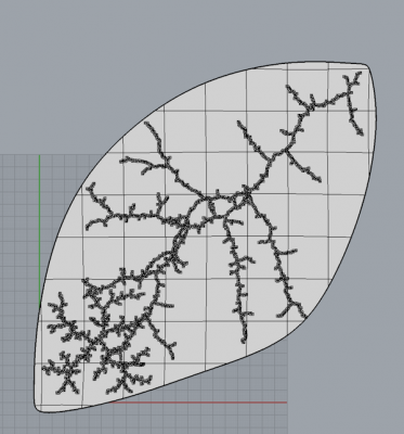 pattern