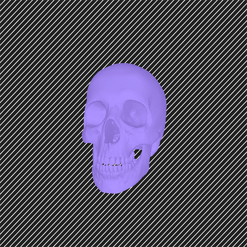 skull_test