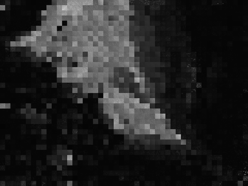 tsne_grid_cells_small